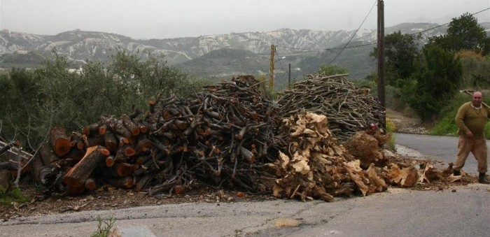 اللبنانيون استبدلوا المازوت بالحطب للتدفئة وتحضير المونة.. وسيلة شاقة لمجابهة الصعاب الاقتصادية