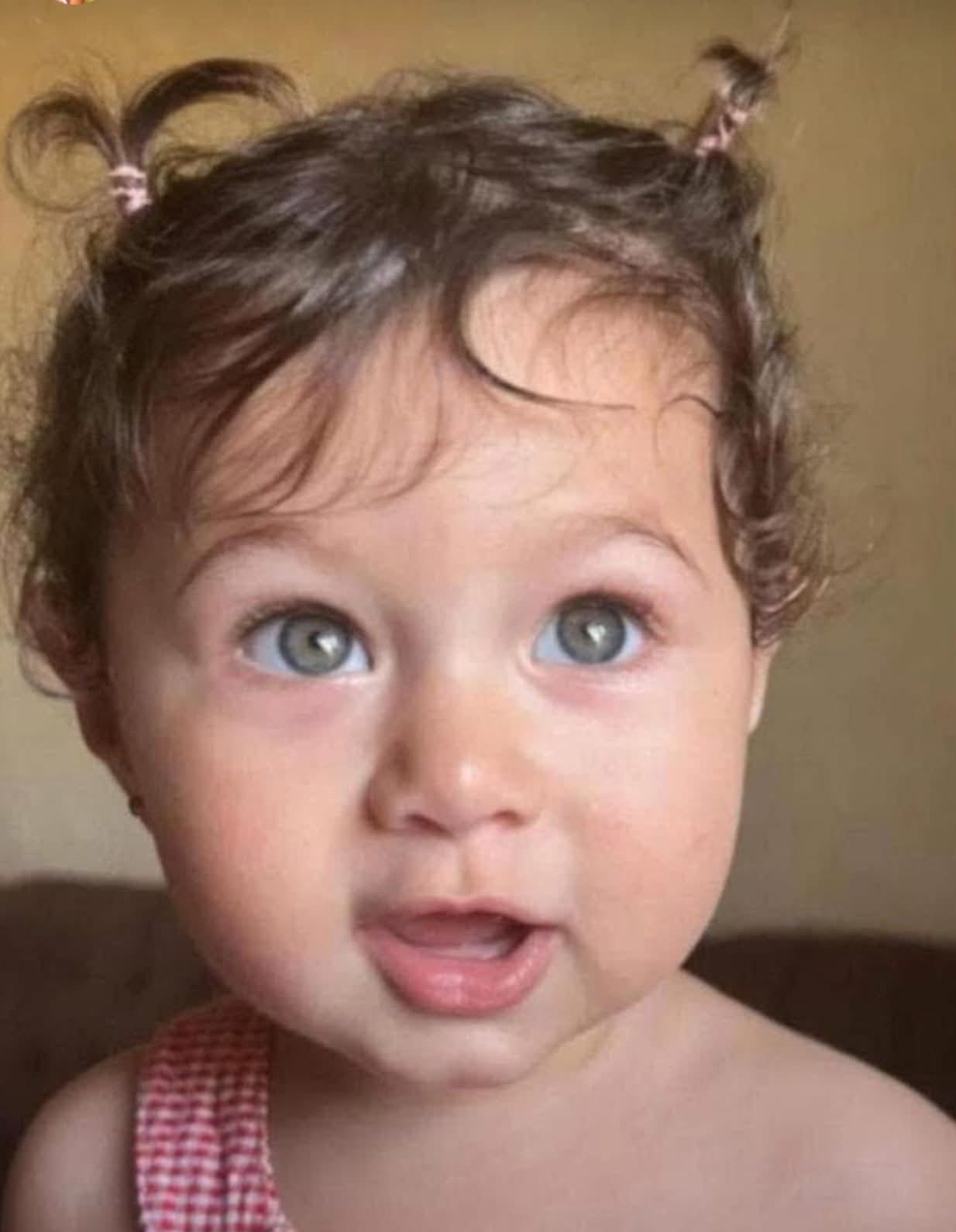 بلدة برجا تفجع بوفاة فقيدة الطفولة والبراءة فاتن محمود دمج