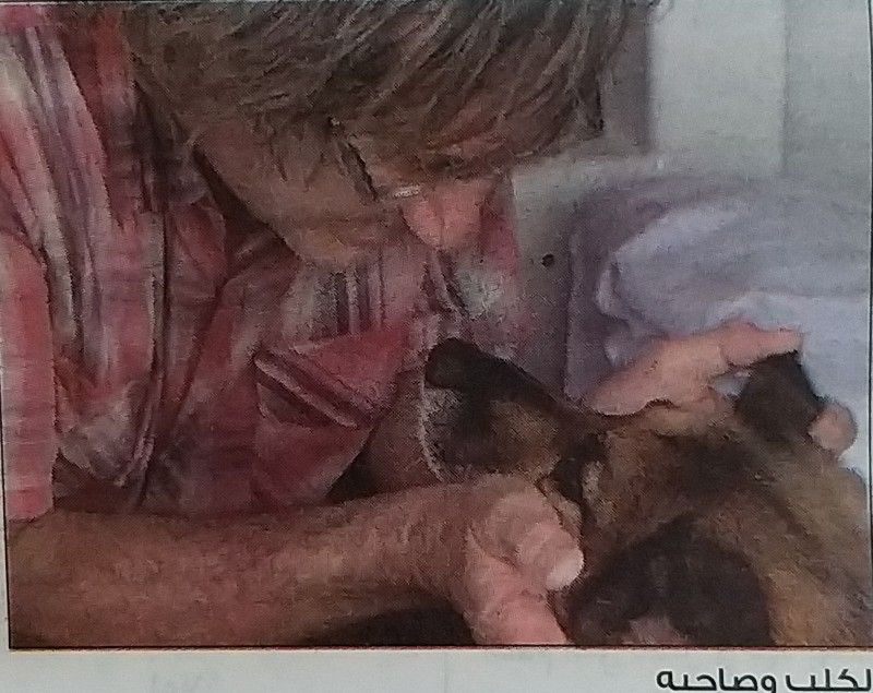 كلب يسبح لمدة 11 ساعة بحثا عن المساعدة لإنقاذ صاحبه في أستراليا