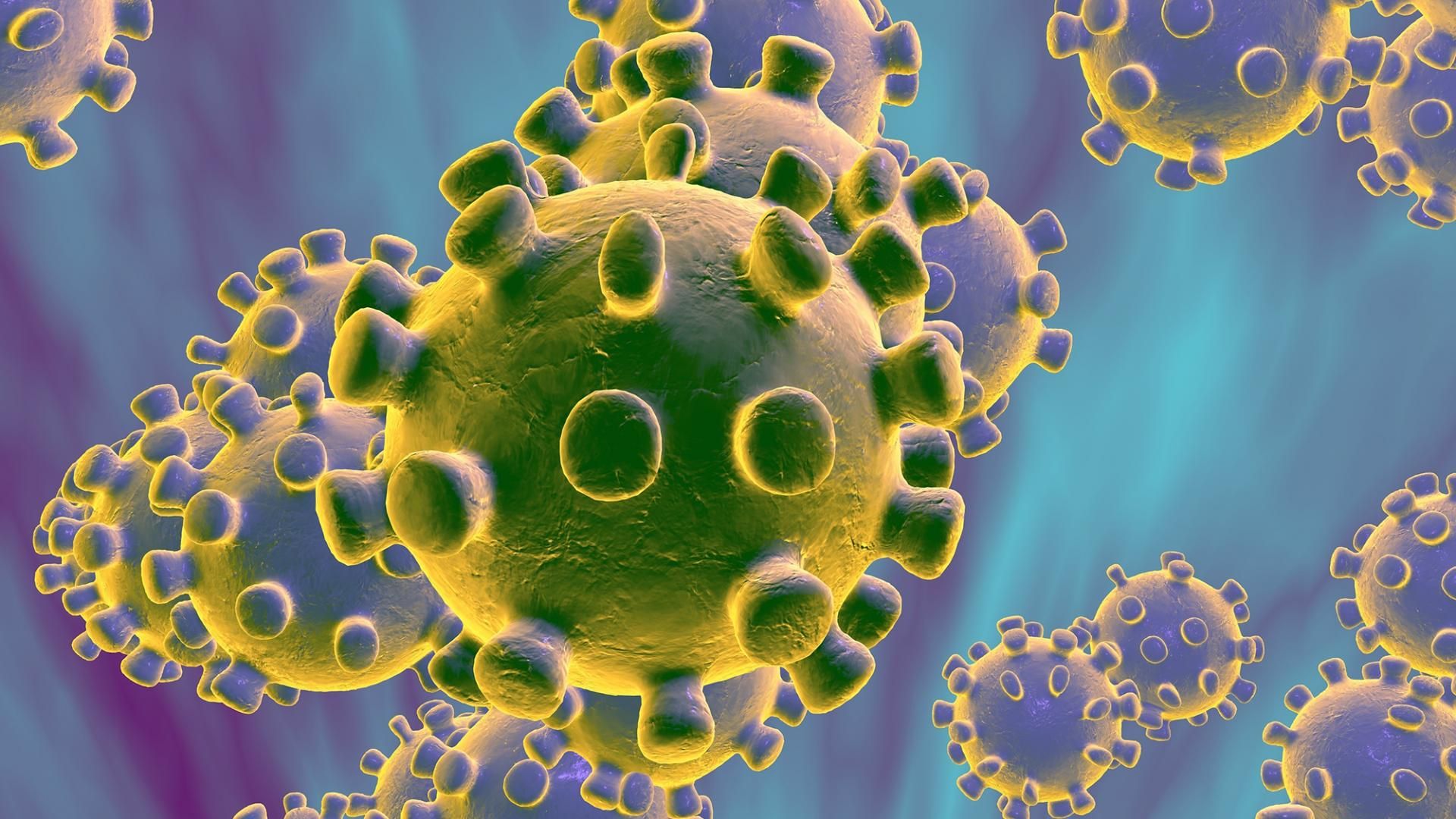 هل المتشافي من فيروس كورونا يمكنه نقل العدوى؟ 27 آذار 2020 