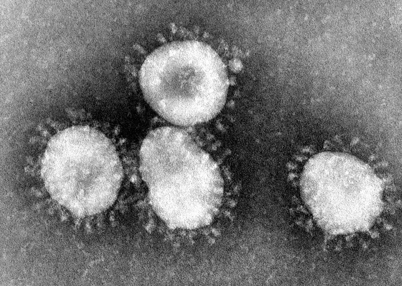 عاجل 223 إصابة بفيروس كورونا في قضاء صور اليوم 