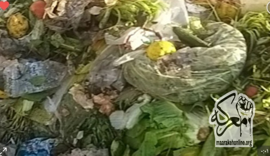 بالصور- مشهد النفايات في أرض جلول .. مشاهد لبنان القبيحة تتمدد والسبب أكبر من الجميع