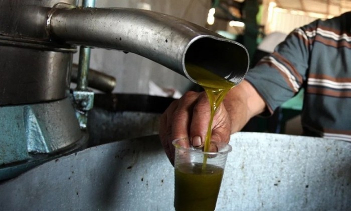 زيت الزيتون يغيب عن موائد اللبنانيين أيضاً... كم ستكون تسعيرة التنكة؟